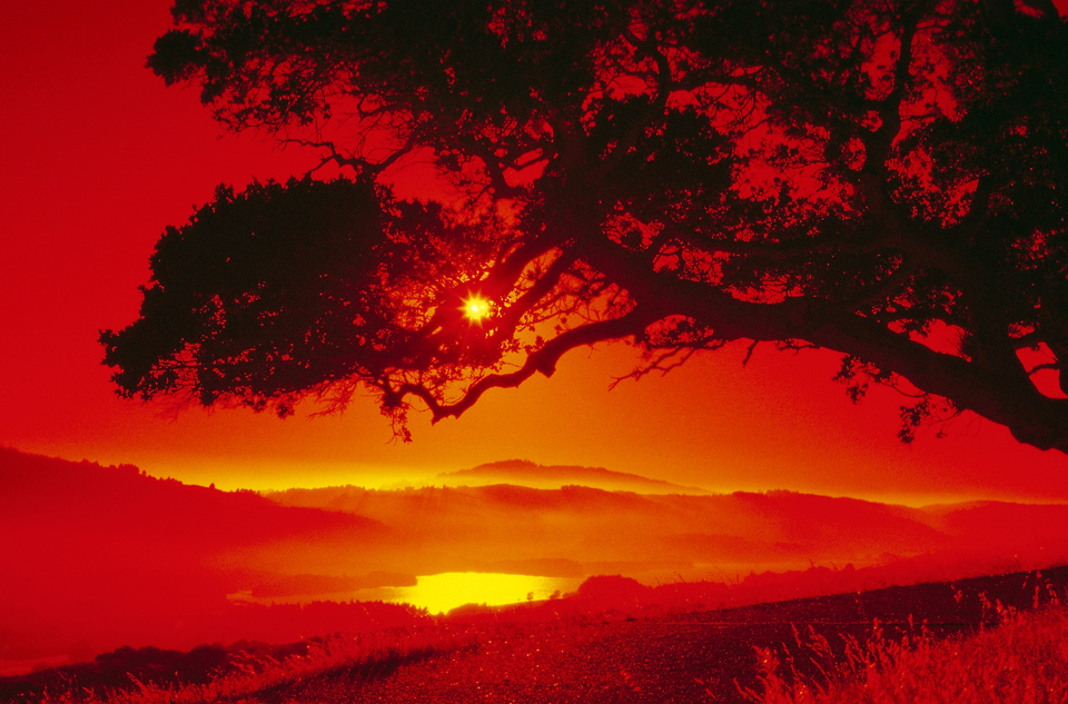 redsky